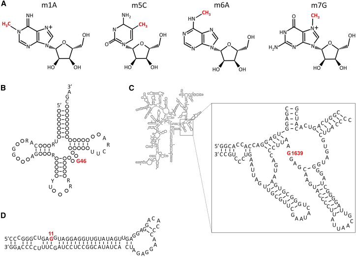 Figure 1