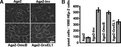 FIG. 4.