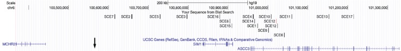 Figure 1.