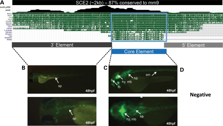 Figure 4.