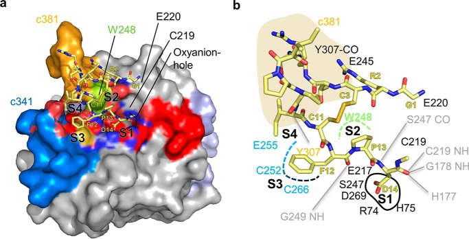 Figure 4.