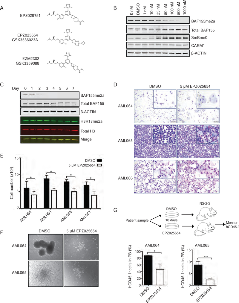 Figure 6: