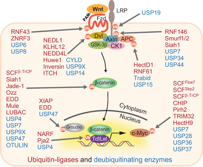 Figure 2.