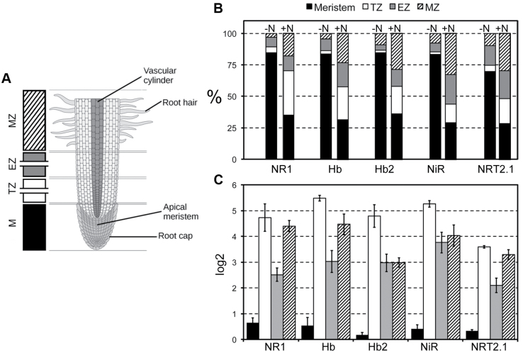 Fig. 7.