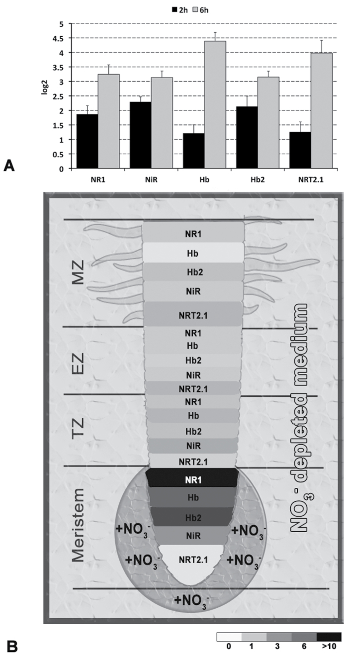 Fig. 9.