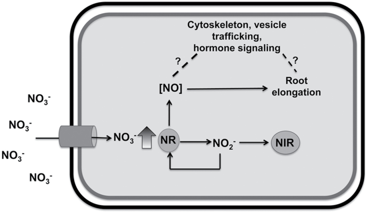 Fig. 10.