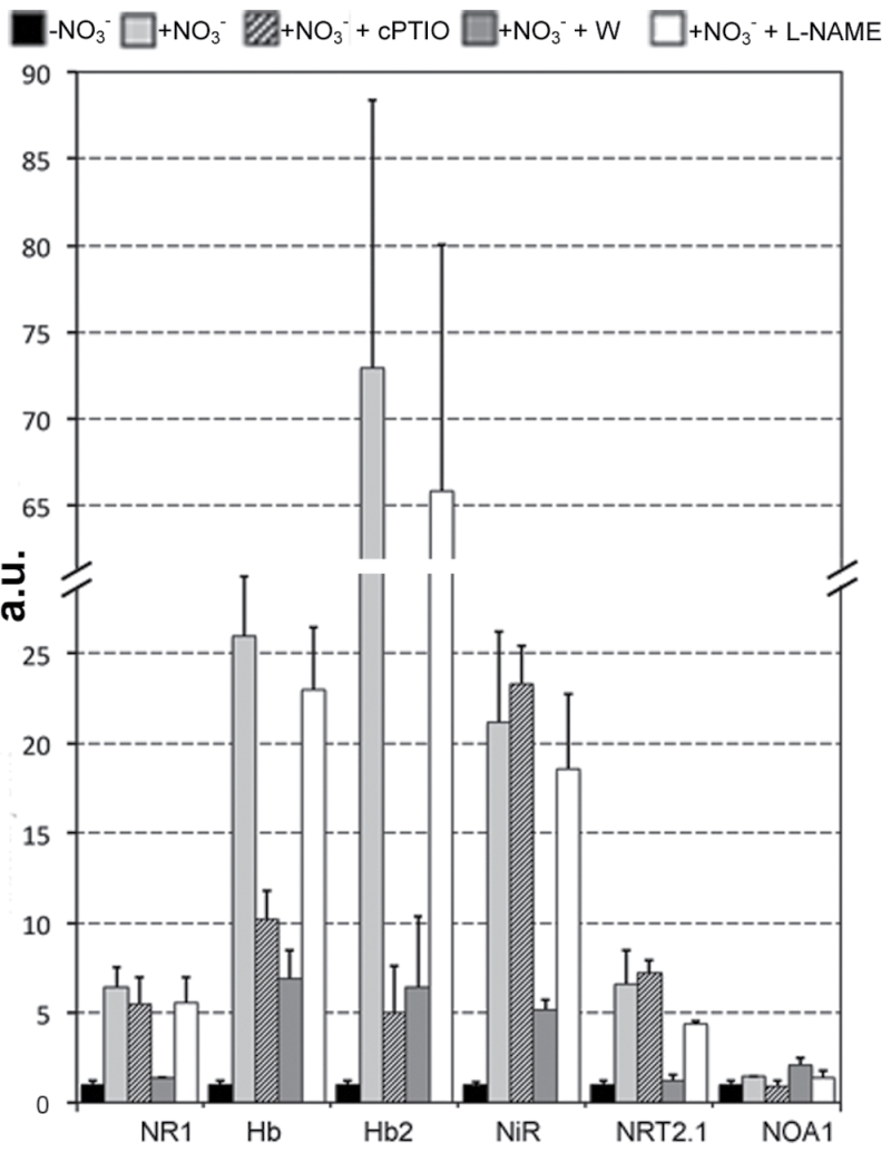 Fig. 6.