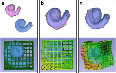 Fig. 3