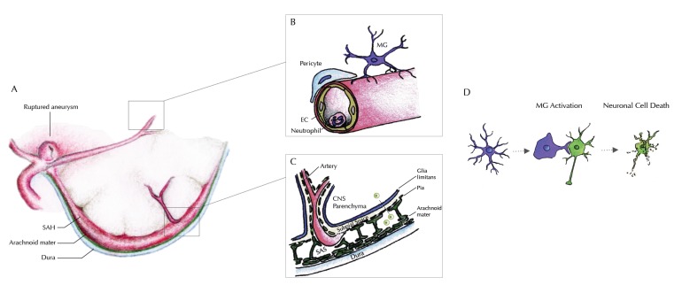 Fig. (1)