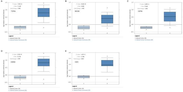 Figure 6