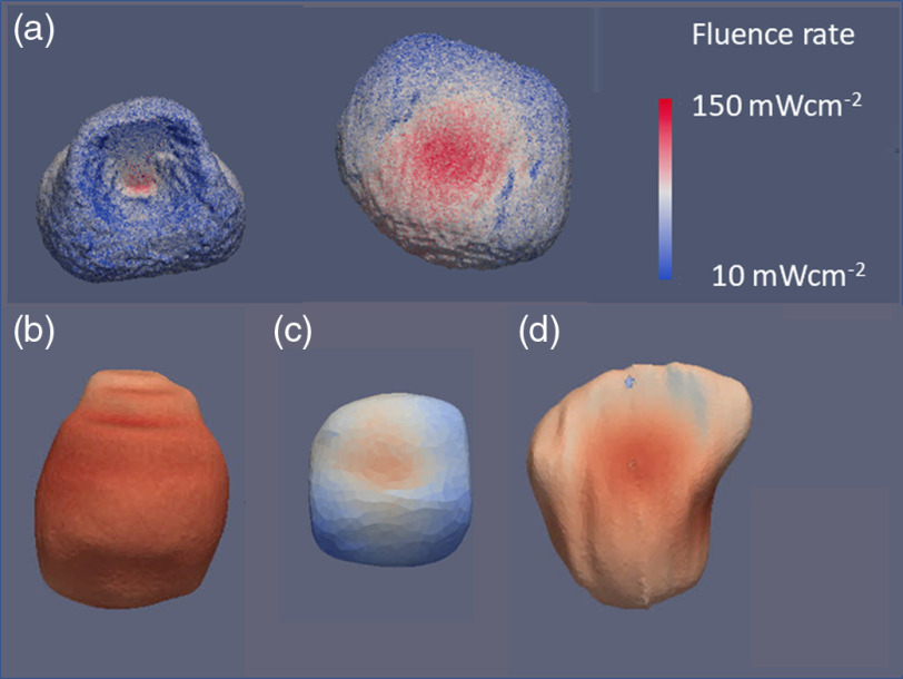 Fig. 4