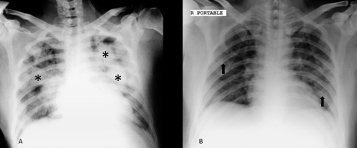 Fig. 5