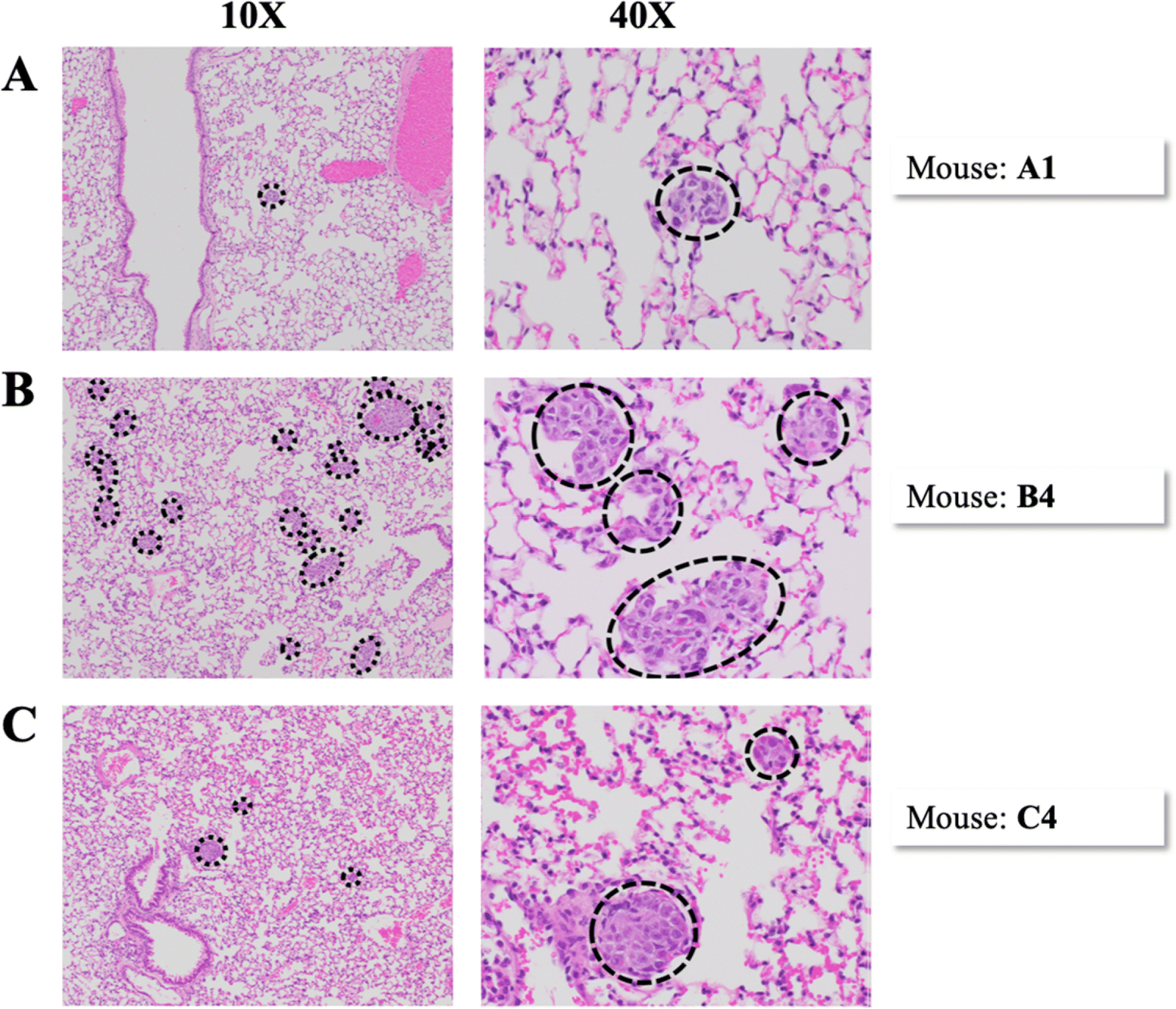 Figure 4.