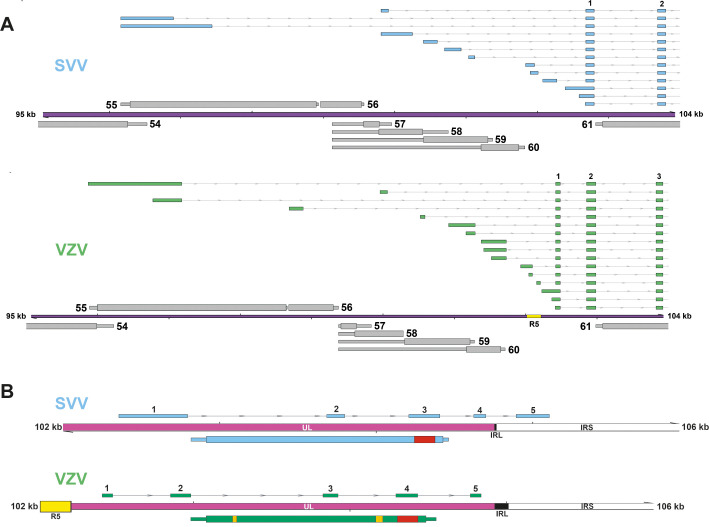 Fig 10