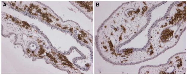 Fig. 10