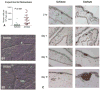 Fig. 11