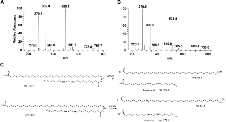 Fig. 4.