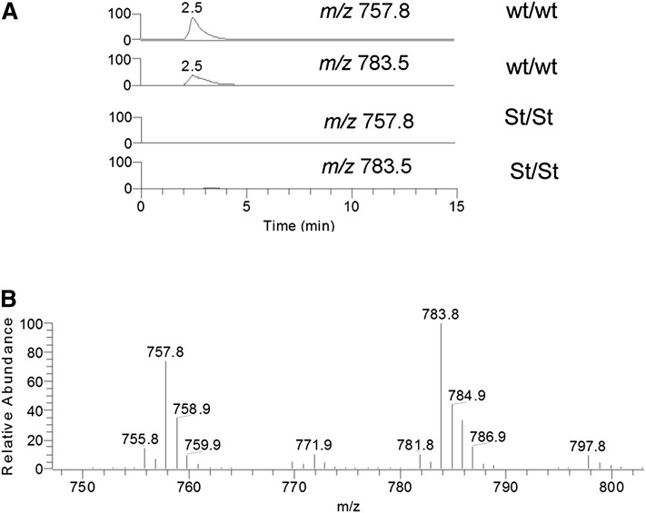 Fig. 3.