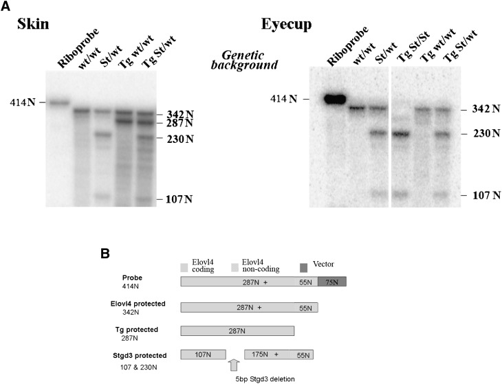 Fig. 9.