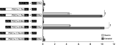 Fig. 7