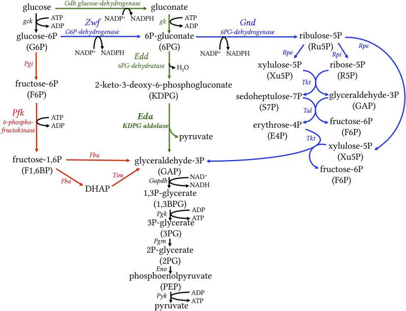 Fig. 1.