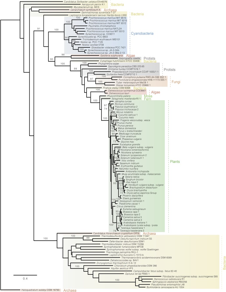 Fig. S6.