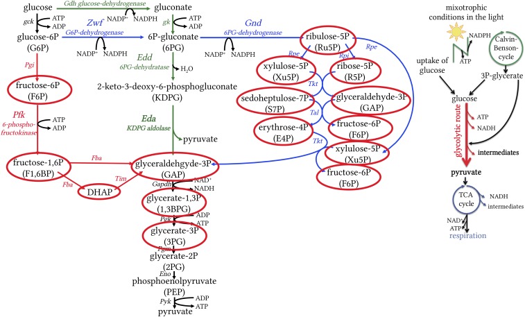 Fig. S7.