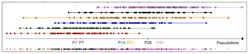 Projection of external data on the Pseudotime Scale