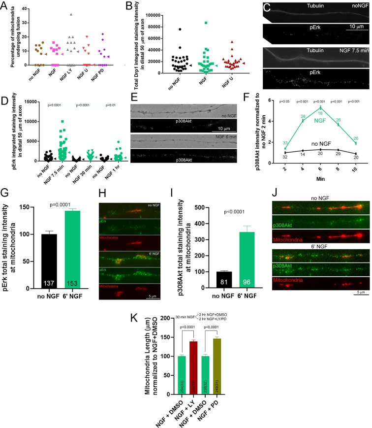 Figure 4—figure supplement 1.