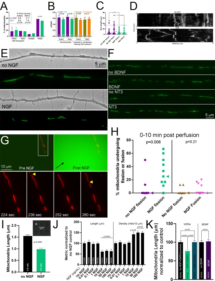 Figure 1—figure supplement 2.