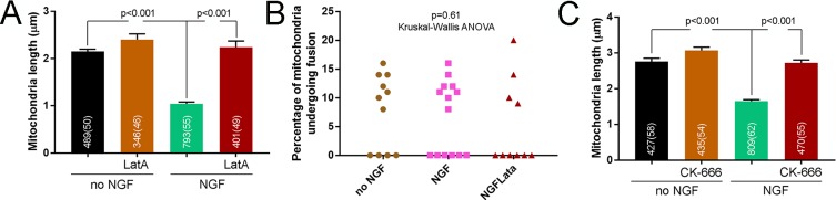 Figure 3—figure supplement 1.