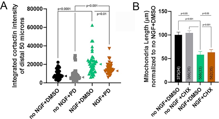 Figure 7—figure supplement 1.