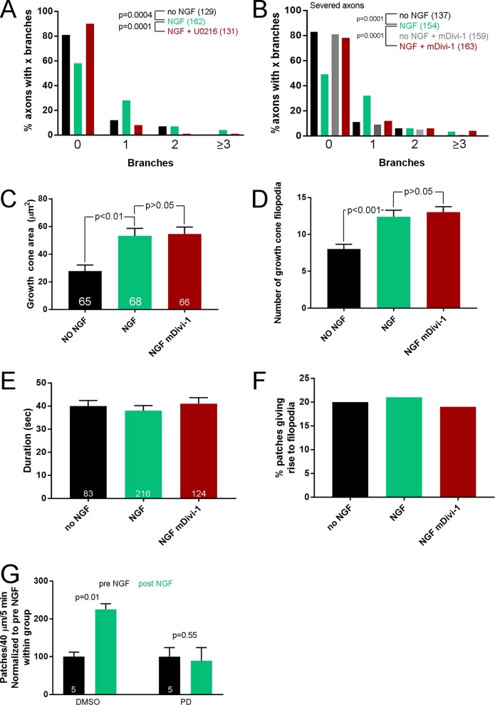 Figure 5—figure supplement 1.