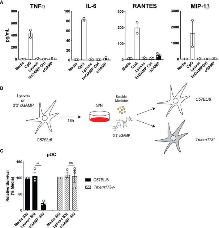 Figure 4