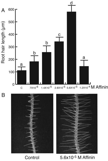 Figure 5.