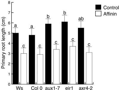 Figure 9.