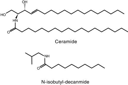 Figure 10.