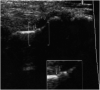 Fig. 8