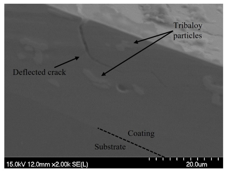 Figure 14