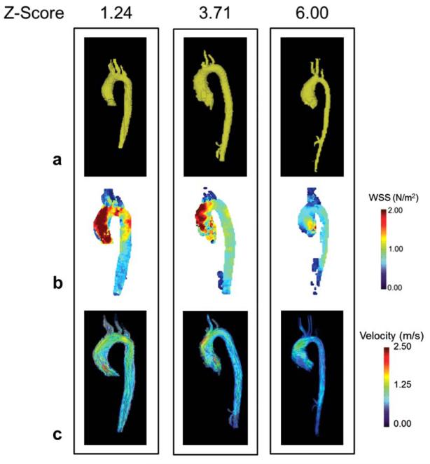 FIGURE 2