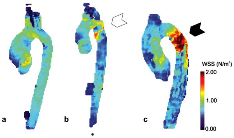 FIGURE 4