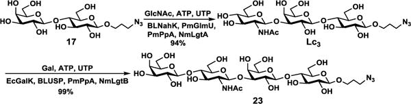 Scheme 4