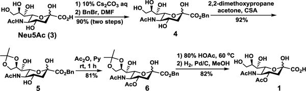 Scheme 1