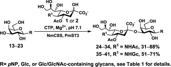 Scheme 3