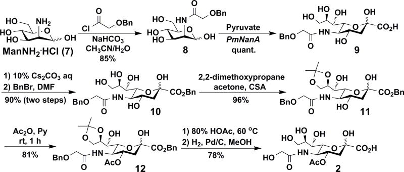 Scheme 2