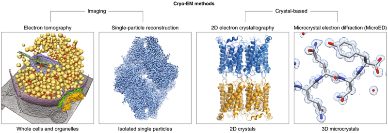 Figure 1: