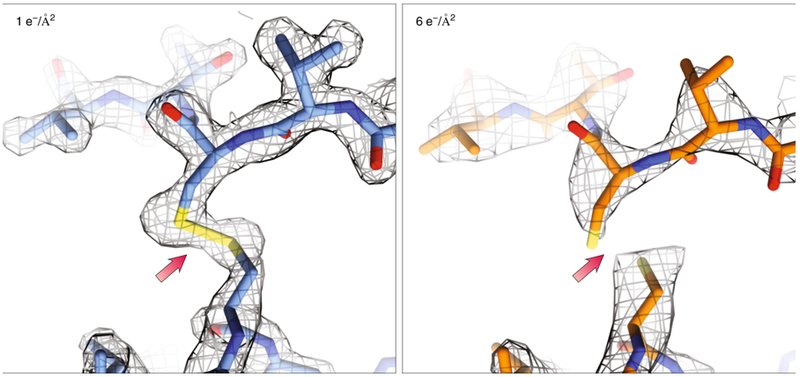 Figure 8: