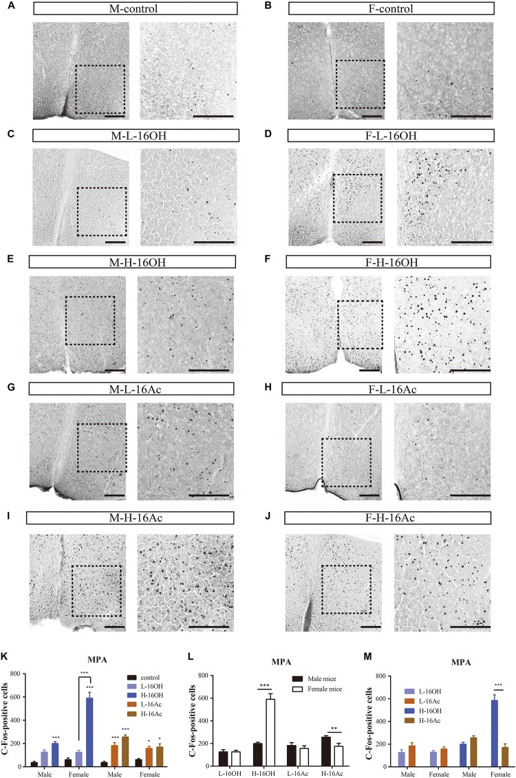 FIGURE 11