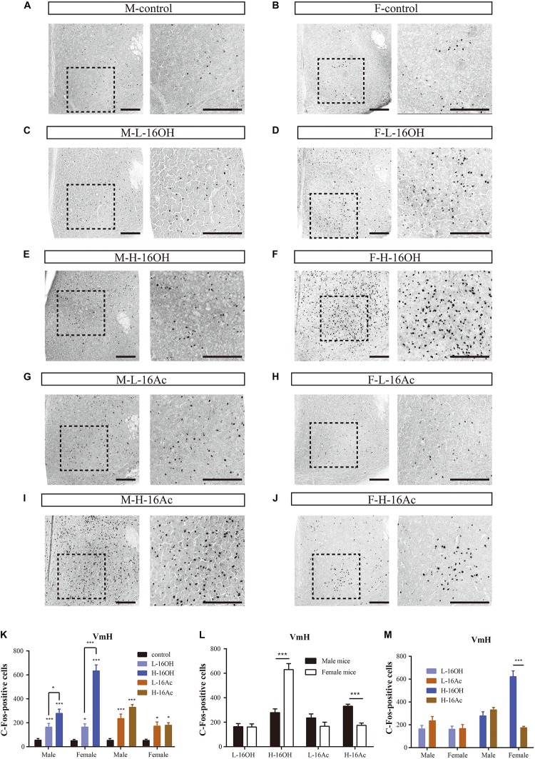 FIGURE 12