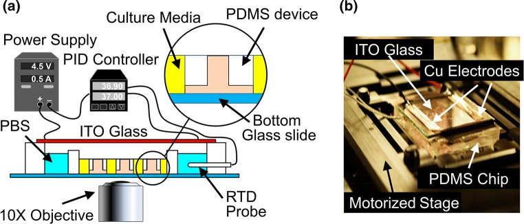 Figure 2